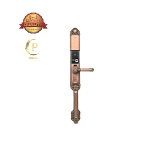 Khóa vân tay cửa gỗ P40