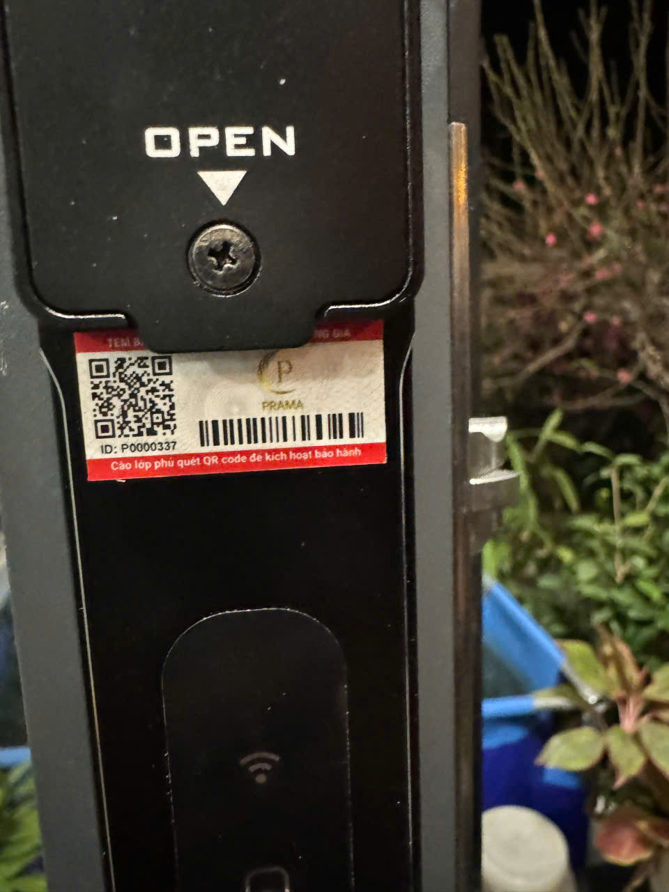 z6723516591225_61a629f2281cdb5641a78440b97adf5c