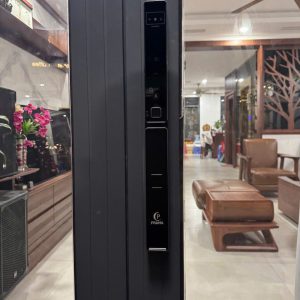 Khoá nhận diện khuôn mặt P162, Khóa vân tay cửa thủy lực